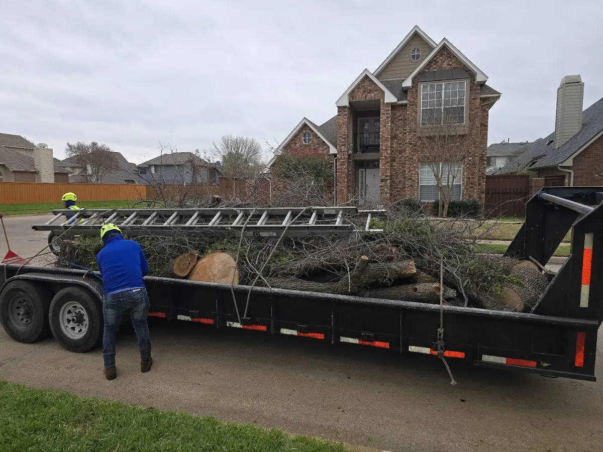 Expert Lot Clearing with proper safety equipment in Sun Valley